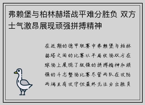 弗赖堡与柏林赫塔战平难分胜负 双方士气激昂展现顽强拼搏精神