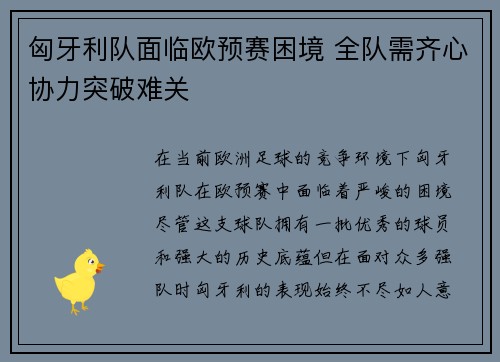 匈牙利队面临欧预赛困境 全队需齐心协力突破难关